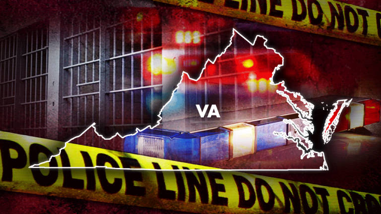 Virginia Crime.png